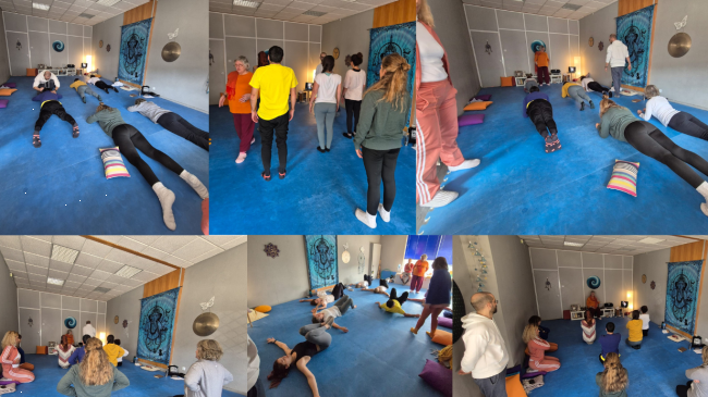 Formação Yoga Integral Federação Internacional Alliance Yoga Lisboa