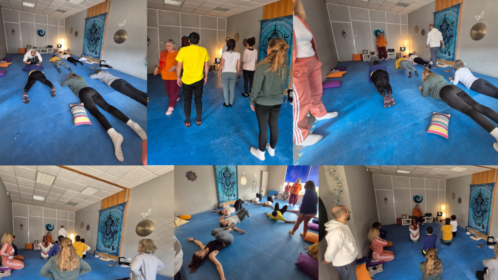 Formação Yoga Integral Federação Internacional Alliance Yoga Lisboa